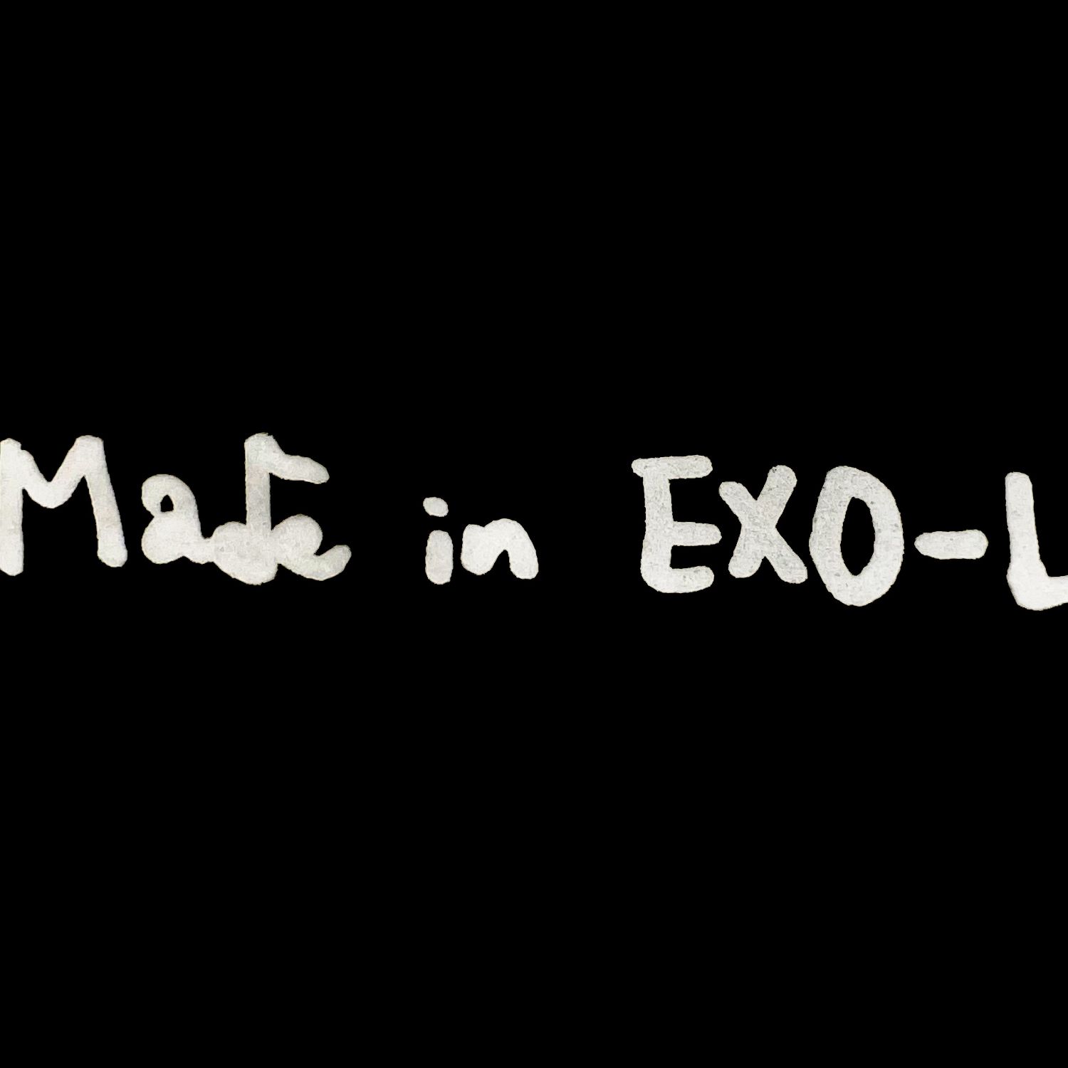 EXO 팬이 찍은 순간