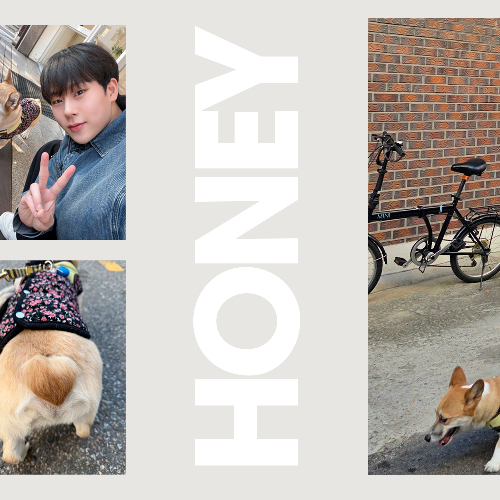 周宪 (MONSTA X)的幕后花絮