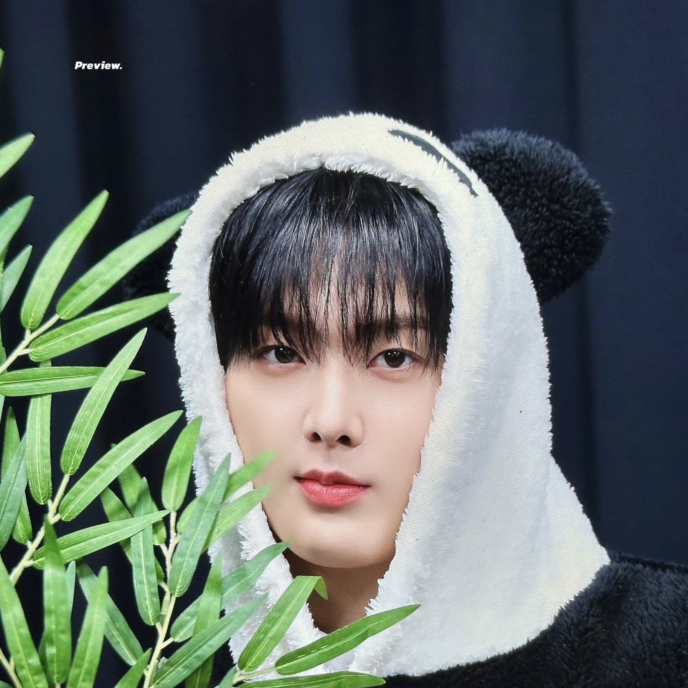 Behind-the-scenes cut of Sanha (ASTRO)