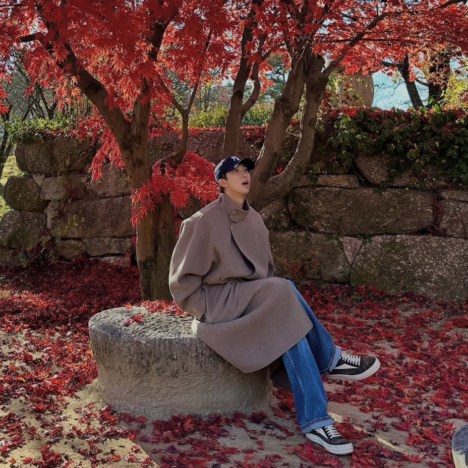 Behind-the-scenes cut of RM (BTS)