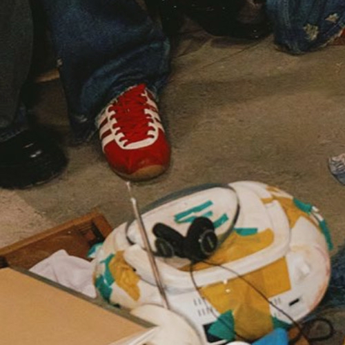 Latest photo of LUCY