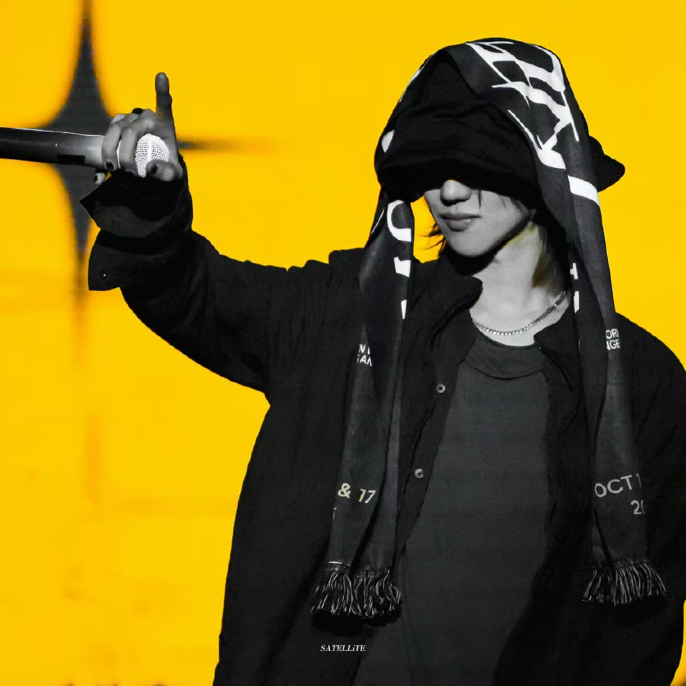 A moment captured by The 8 (SEVENTEEN)'s fan