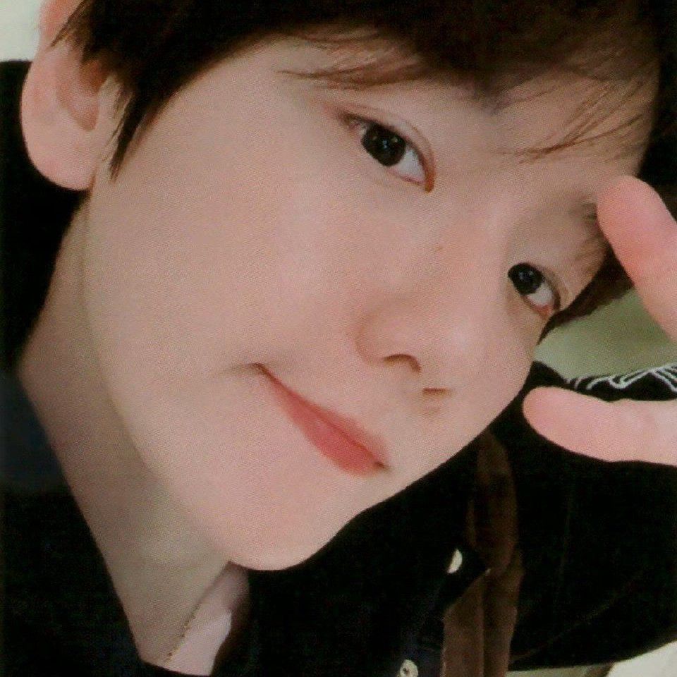 백현 (EXO) 팬이 찍은 순간