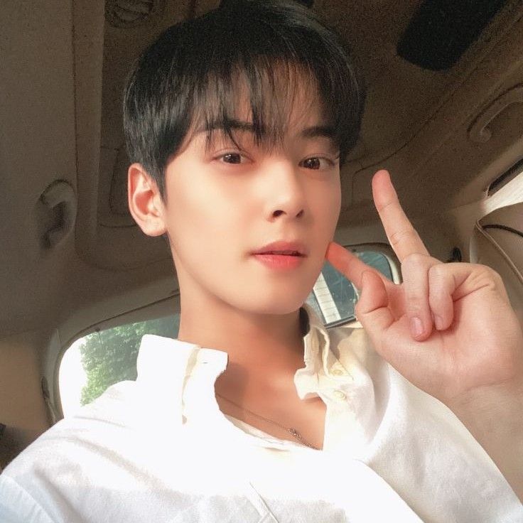 A moment captured by Eunwoo (ASTRO)'s fan