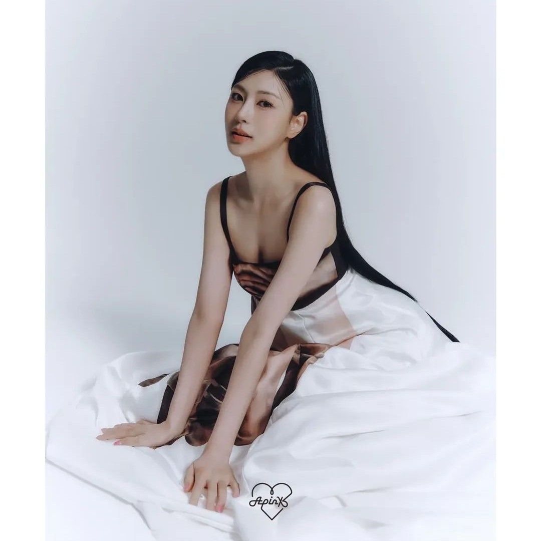 A moment captured by Apink's fan