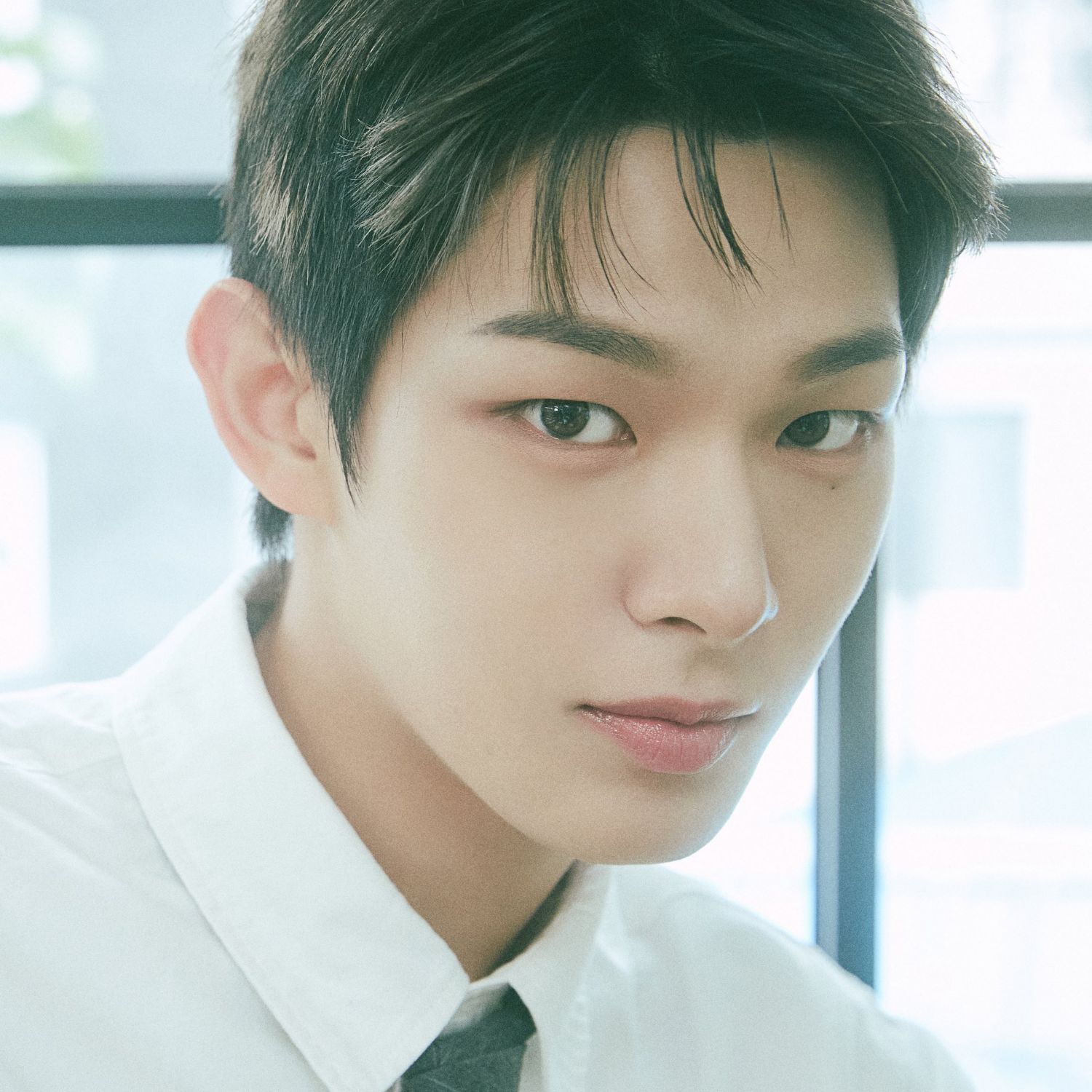 スティーブン (AHOF)の最近の活動写真