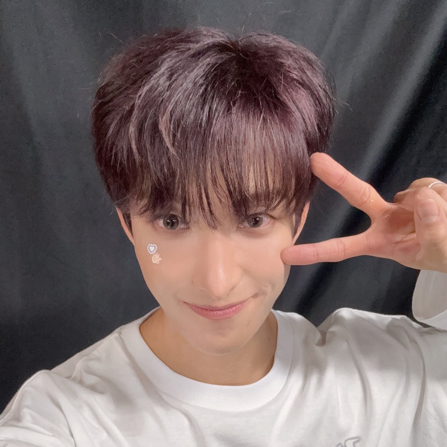 A moment captured by DK (SEVENTEEN)'s fan