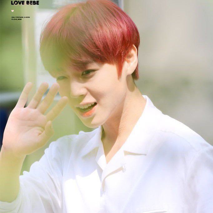 박지훈의 비하인드 컷