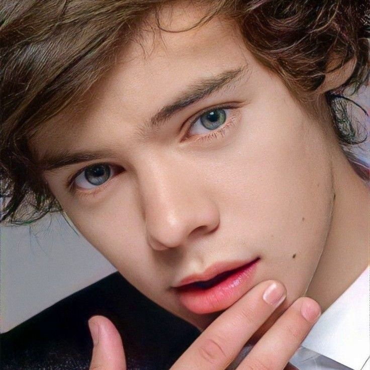 A moment captured by Harry Styles's fan