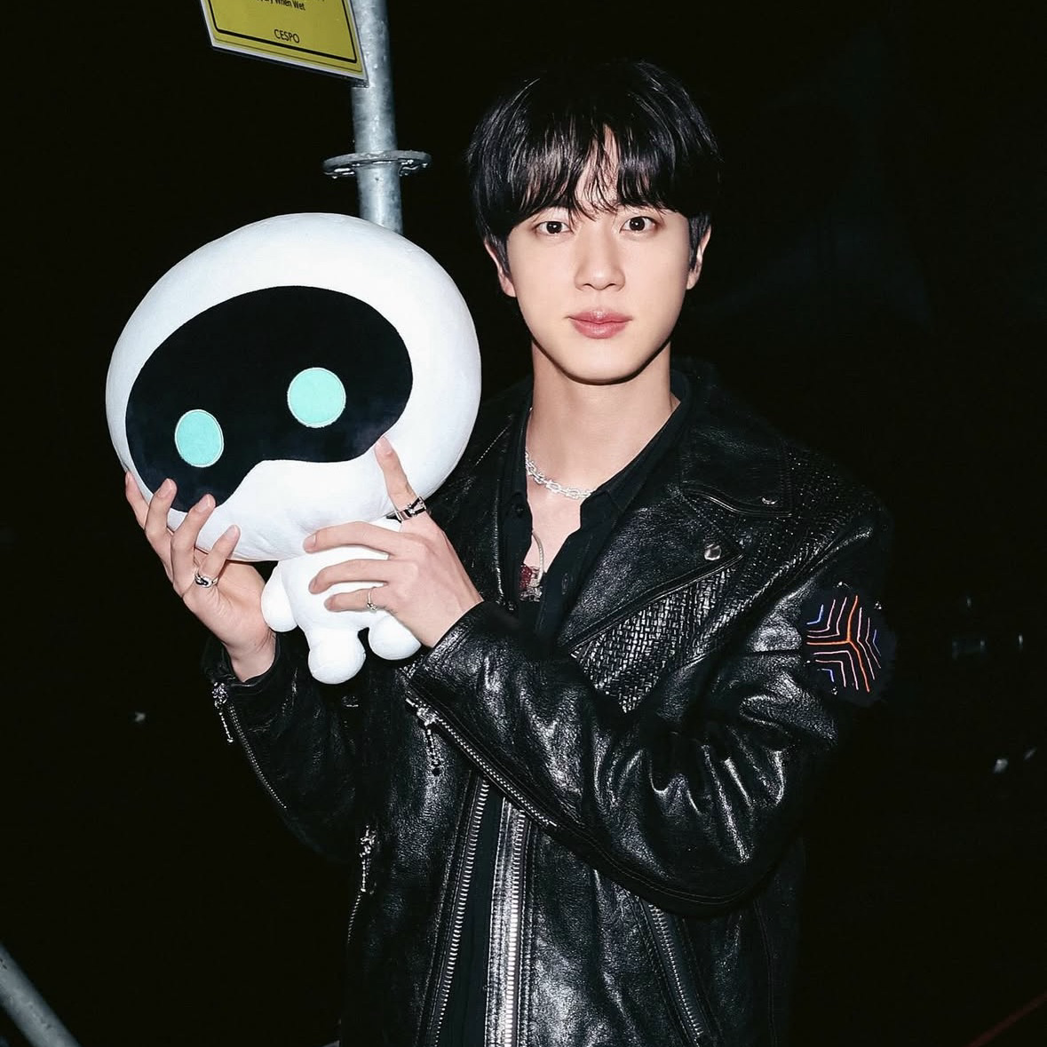 A moment captured by Jin (BTS)'s fan