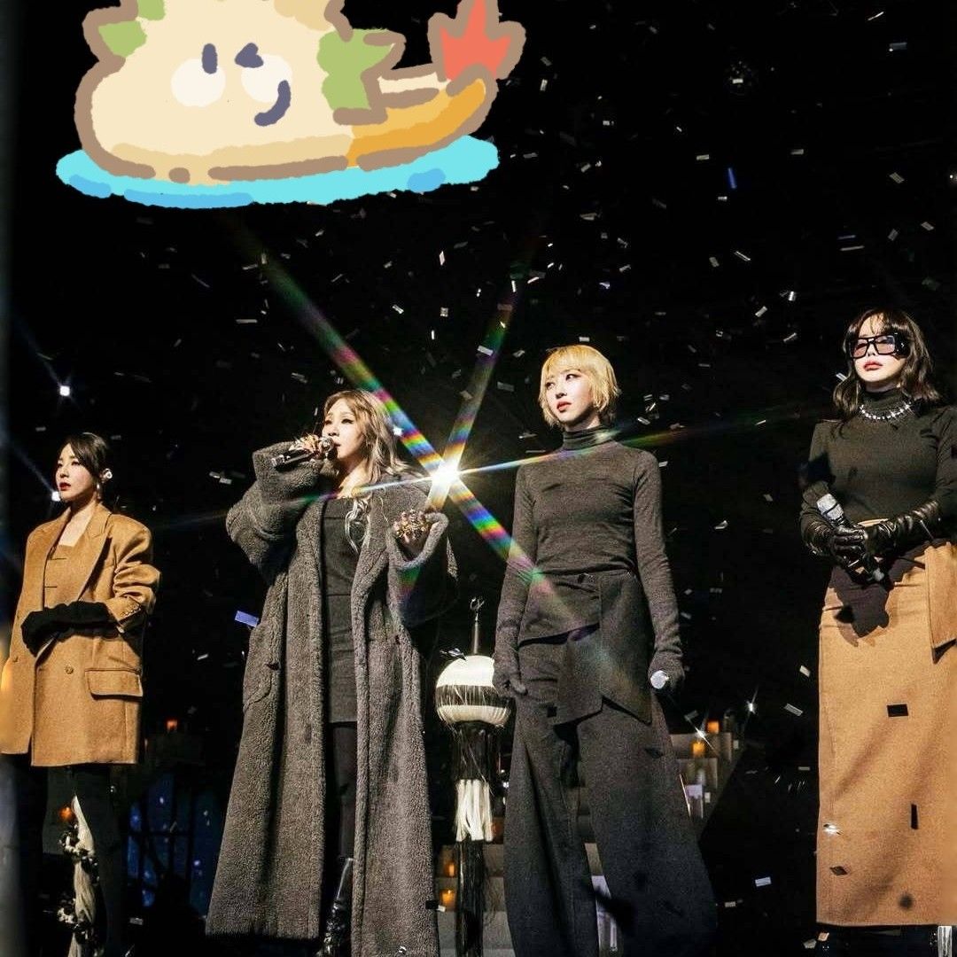 A moment captured by 2NE1's fan