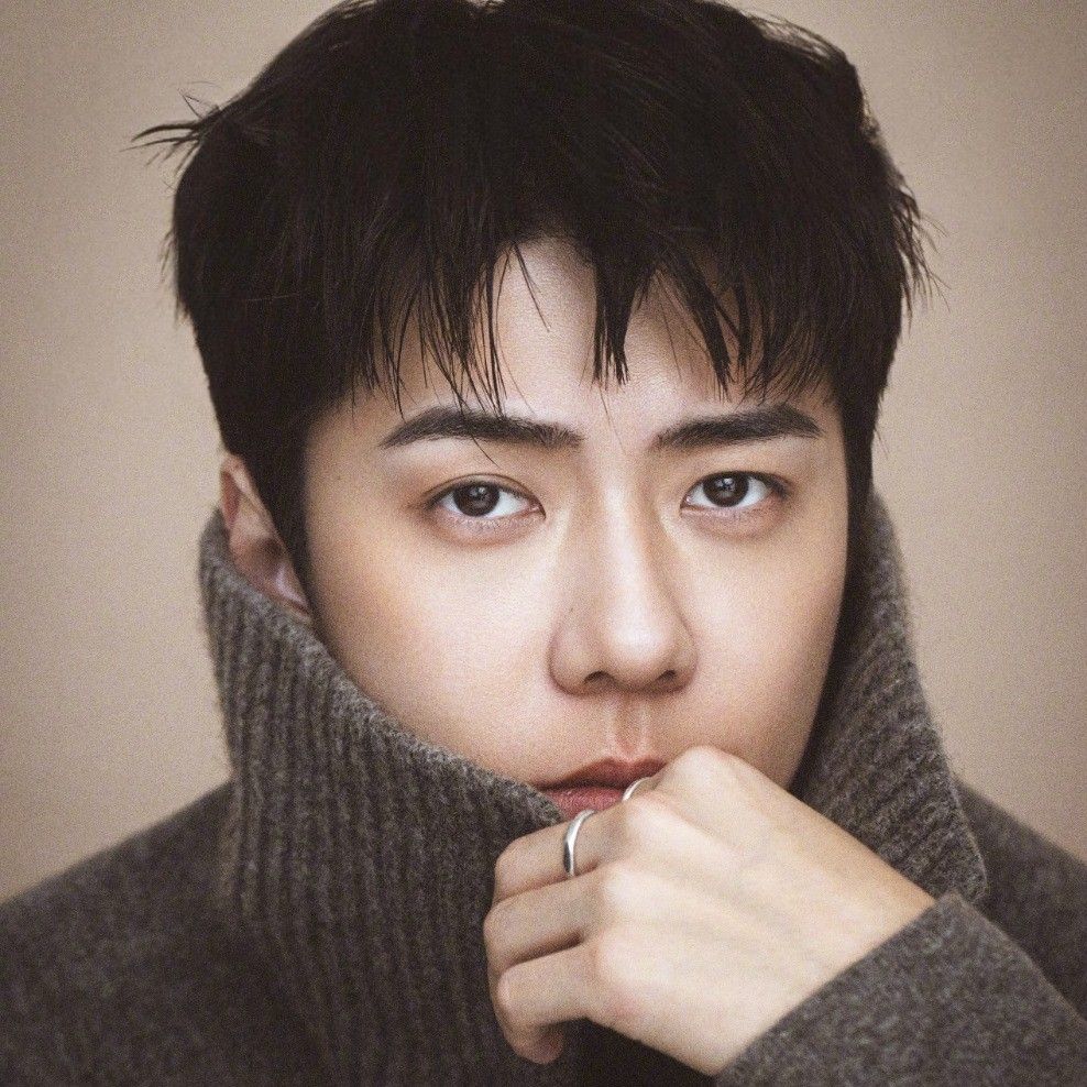 세훈 (EXO) 팬이 찍은 순간