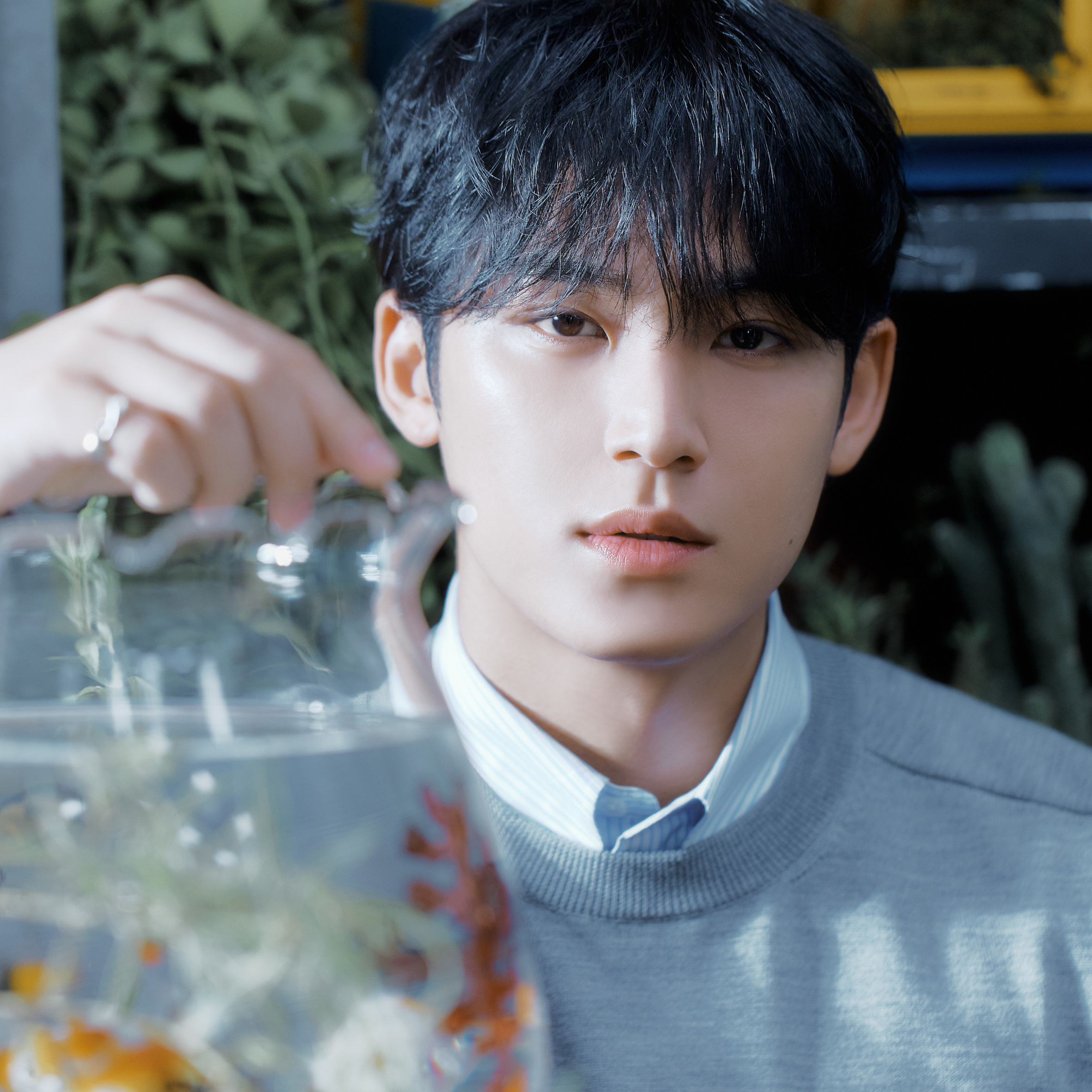 Recent activity shot of Mingyu (SEVENTEEN)