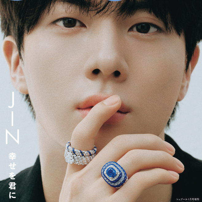 A moment captured by Jin (BTS)'s fan