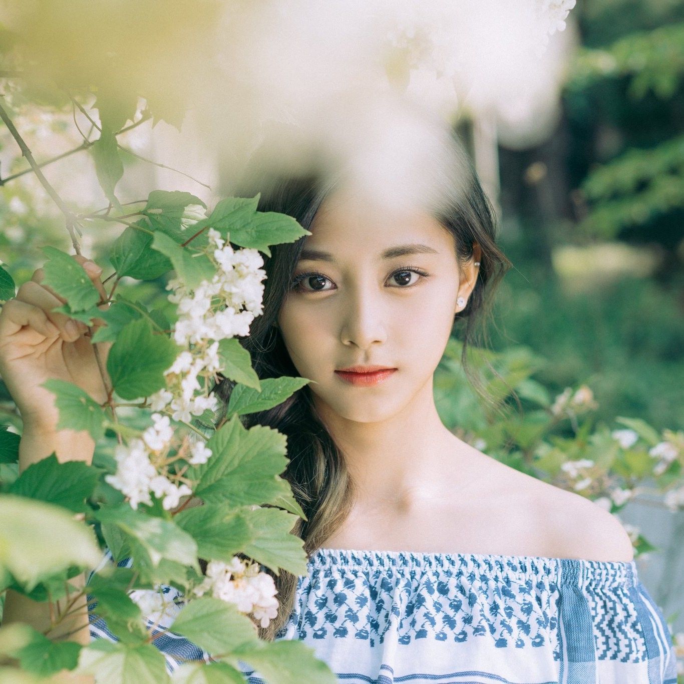 子瑜 (TWICE)的幕后花絮