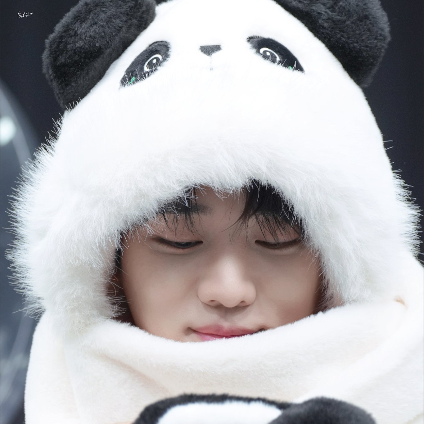 Recent activity shot of Jaechan (DKZ)