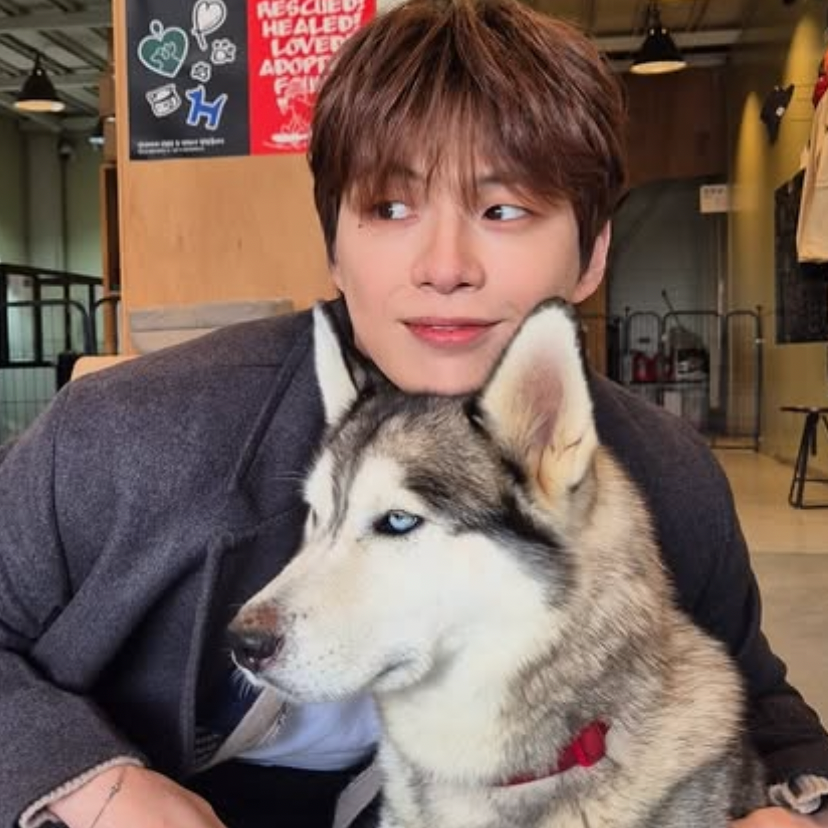 강다니엘 팬이 찍은 순간