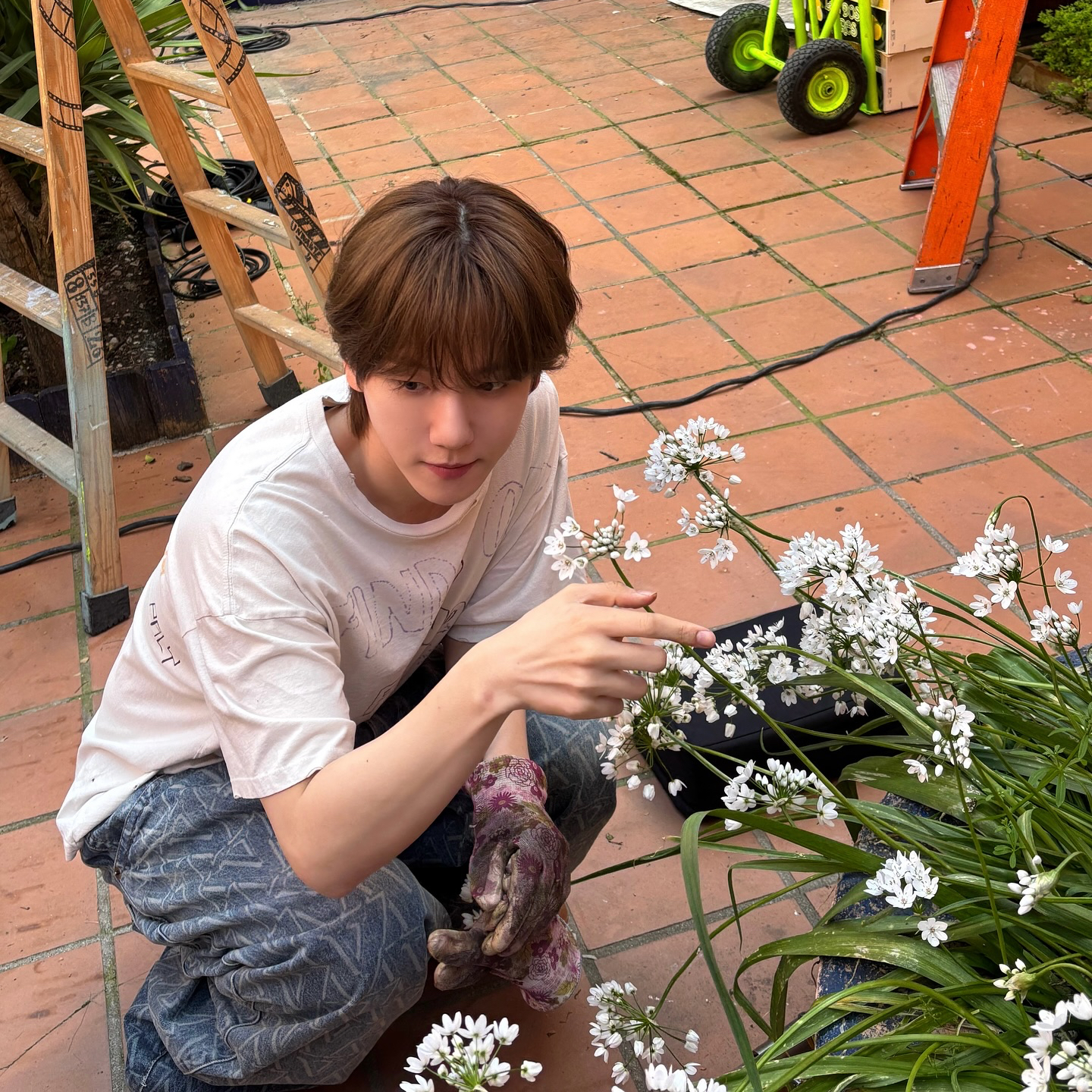 Latest photo of Baekhyun (EXO)