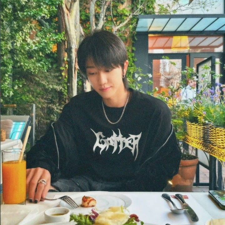 세븐틴 팬이 찍은 순간