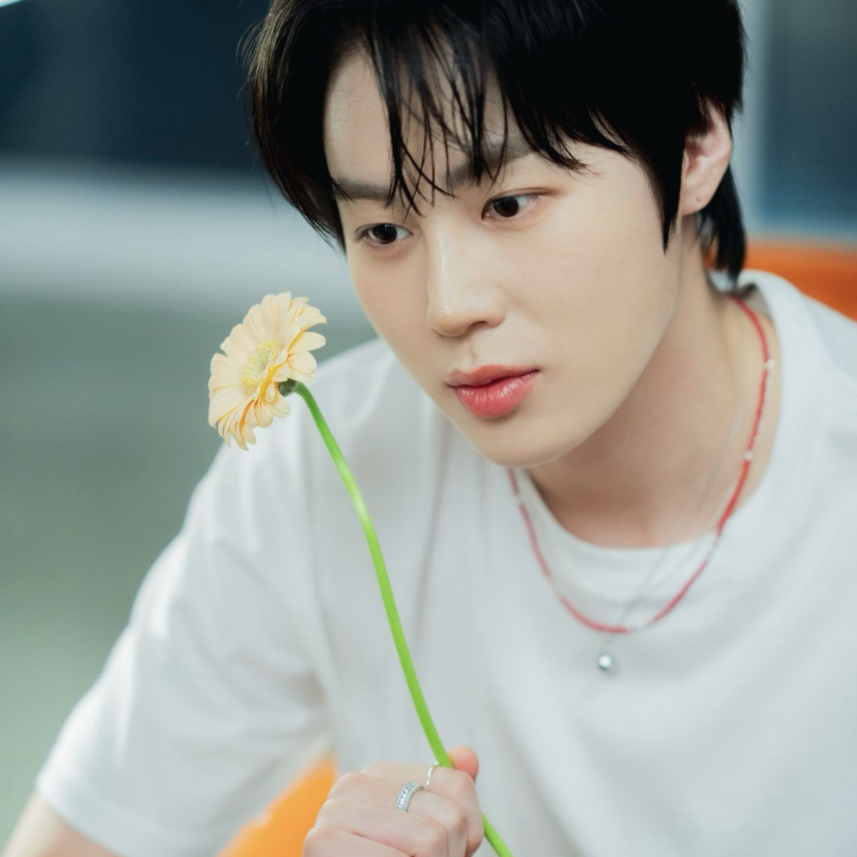 Behind-the-scenes cut of Ha Sungwoon