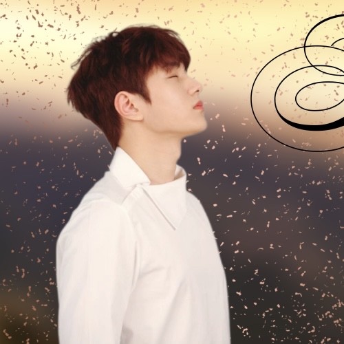 Popular profile image of L (INFINITE) selected by votes