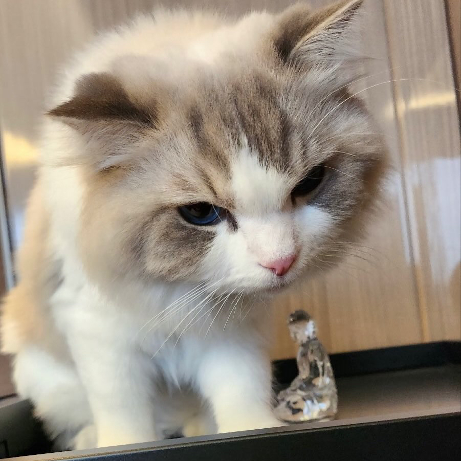 Recent activity shot of Jaemin (NCT DREAM)