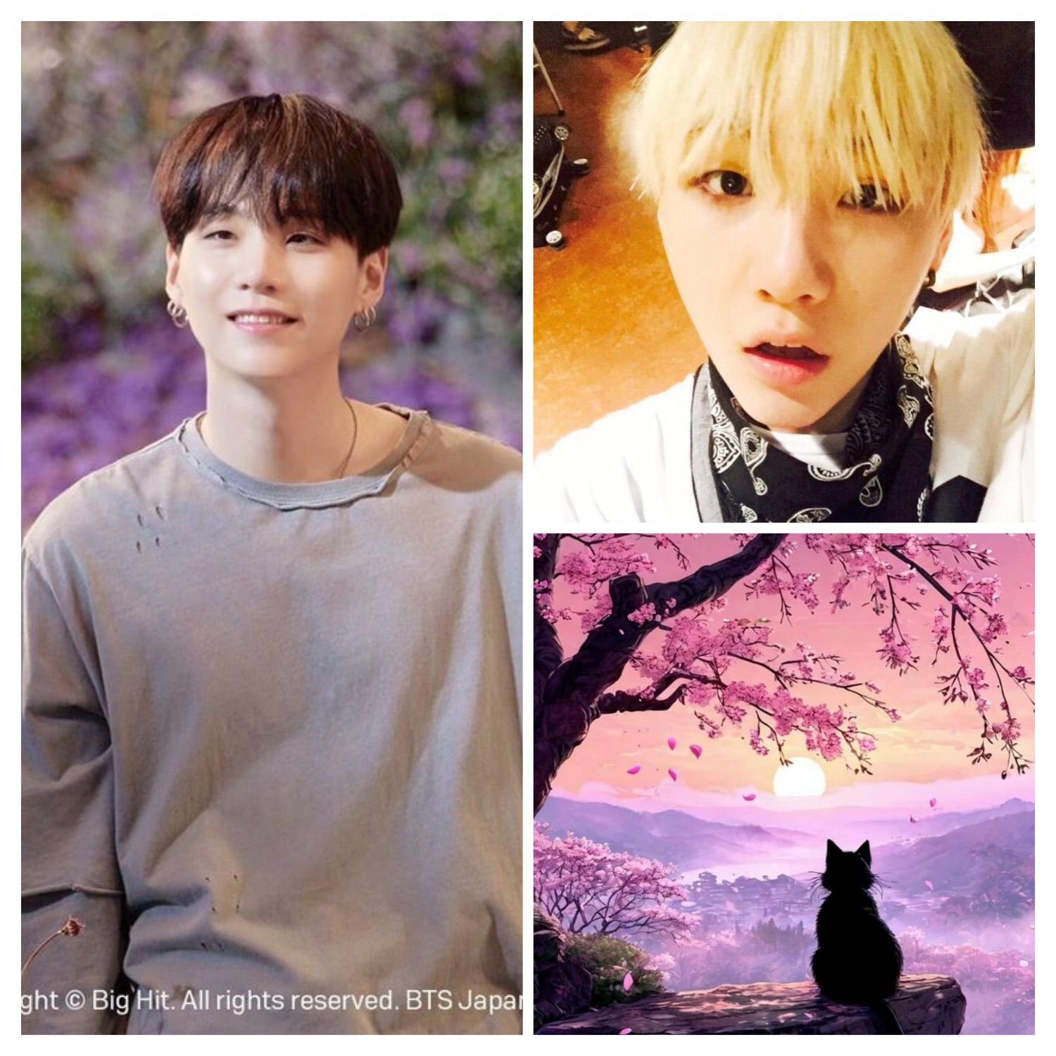 Recent activity shot of SUGA (BTS)