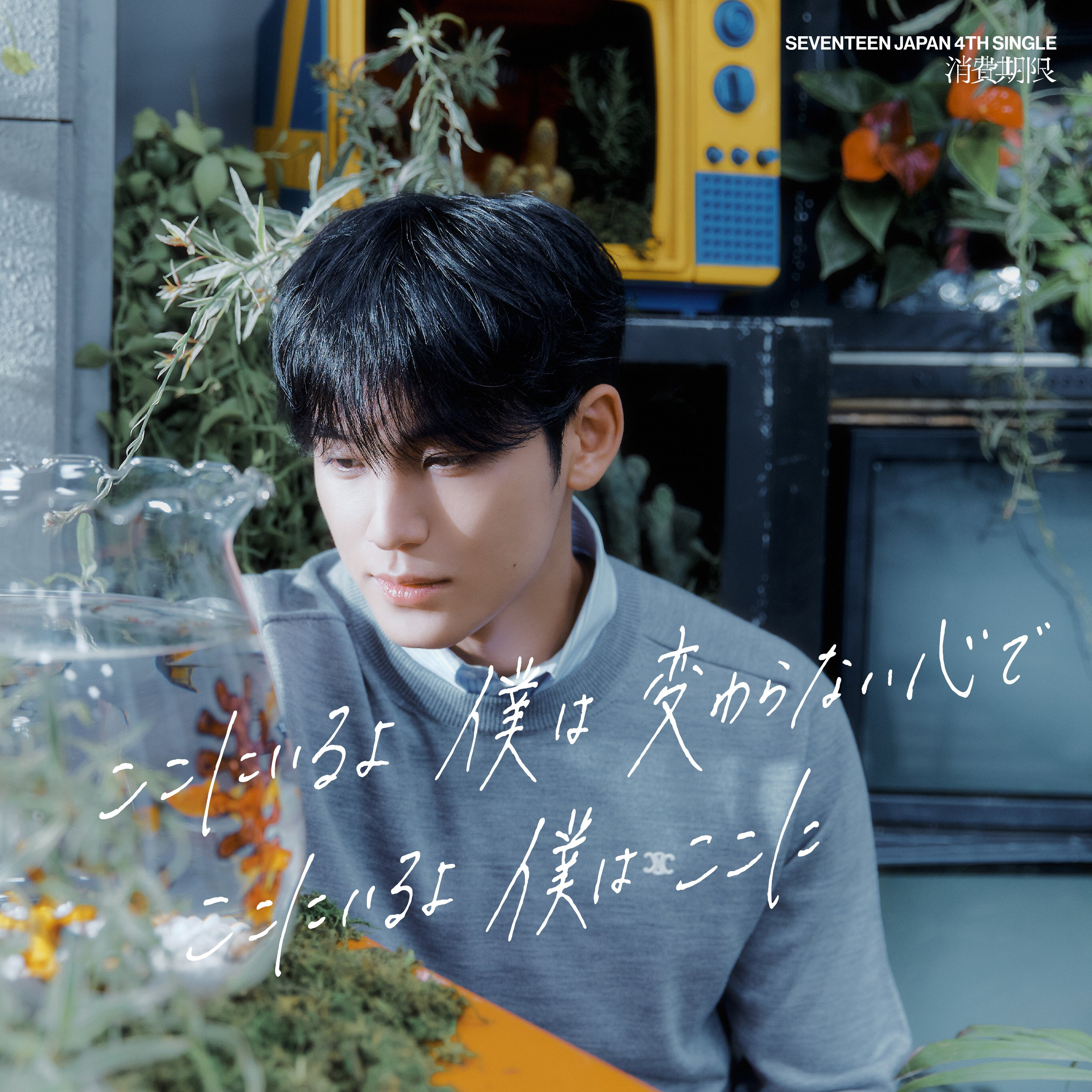 珉奎 (SEVENTEEN)的最新活动照片