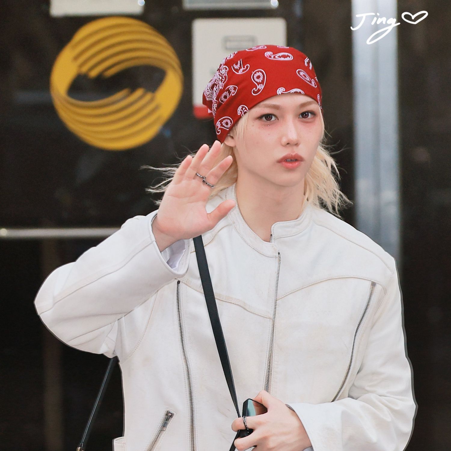 필릭스 (Stray Kids) 팬이 찍은 순간