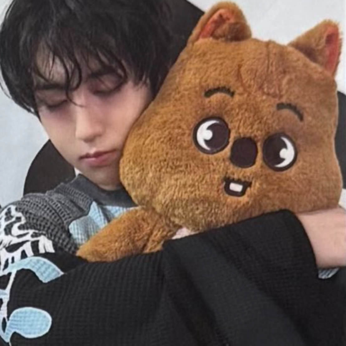 A moment captured by HAN (Stray Kids)'s fan