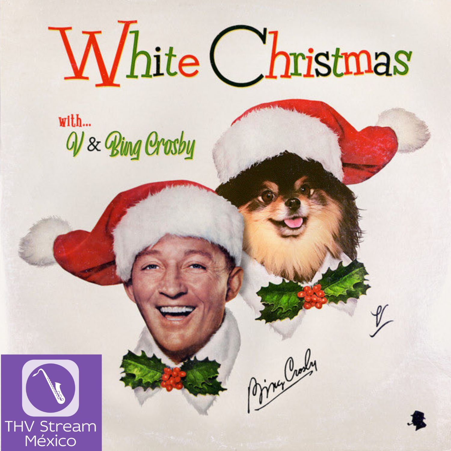 V (防彈少年團)的最新照片