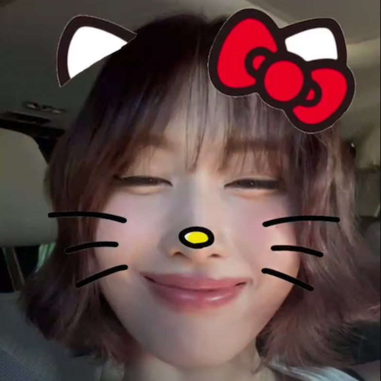 Momen yang diabadikan oleh penggemar Momo (TWICE)