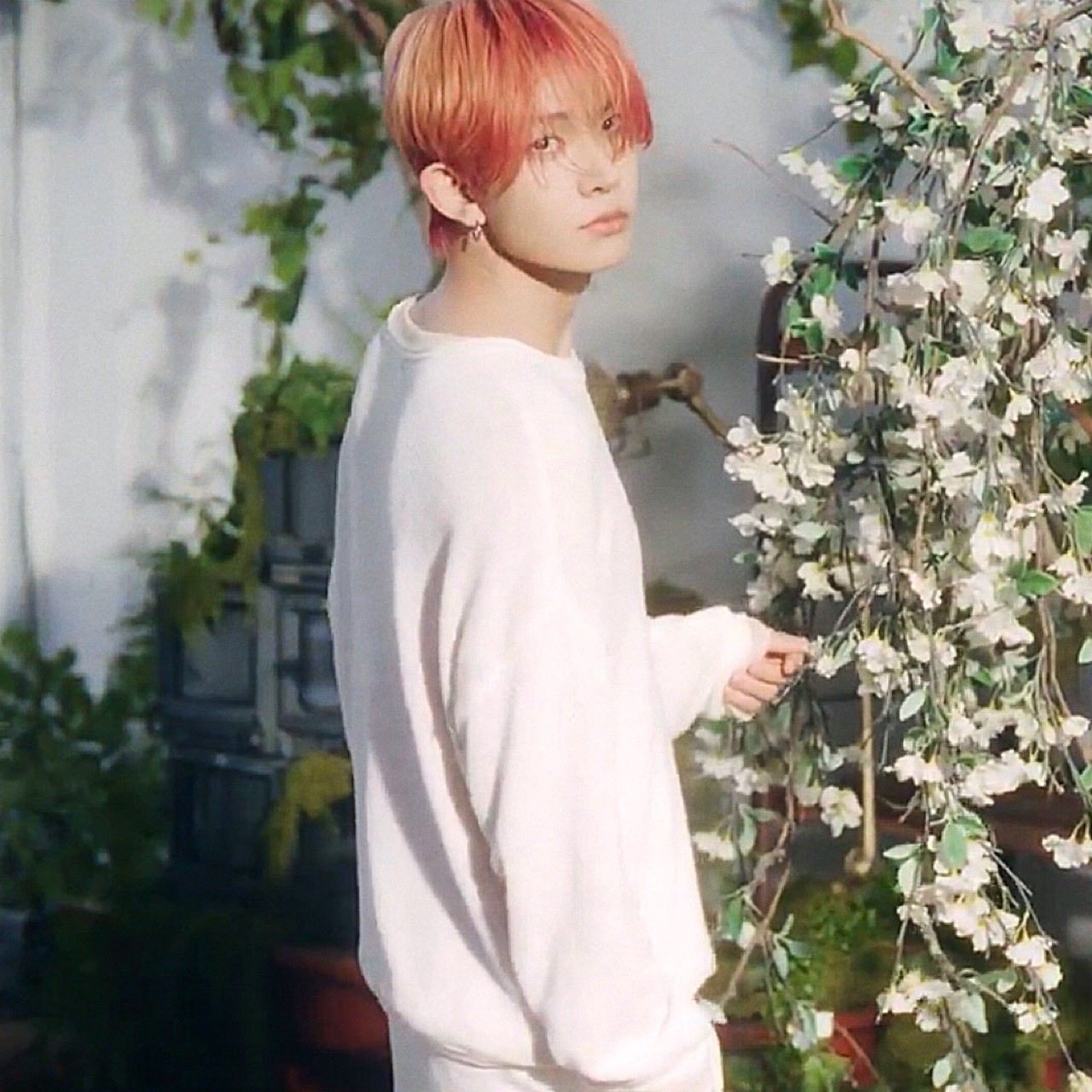 羲承 (ENHYPEN)的幕後花絮