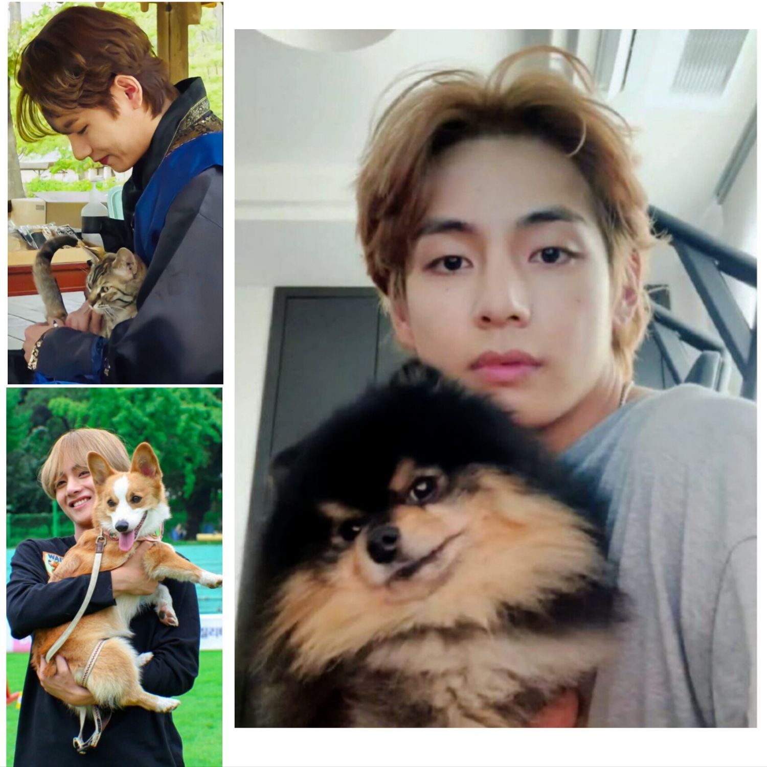 뷔 (방탄소년단) 팬이 찍은 순간