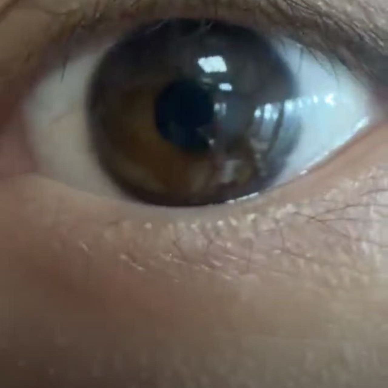 燦烈 (EXO)的最新照片