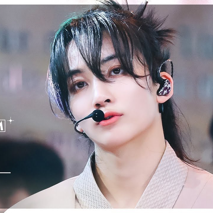 세븐틴 팬이 찍은 순간
