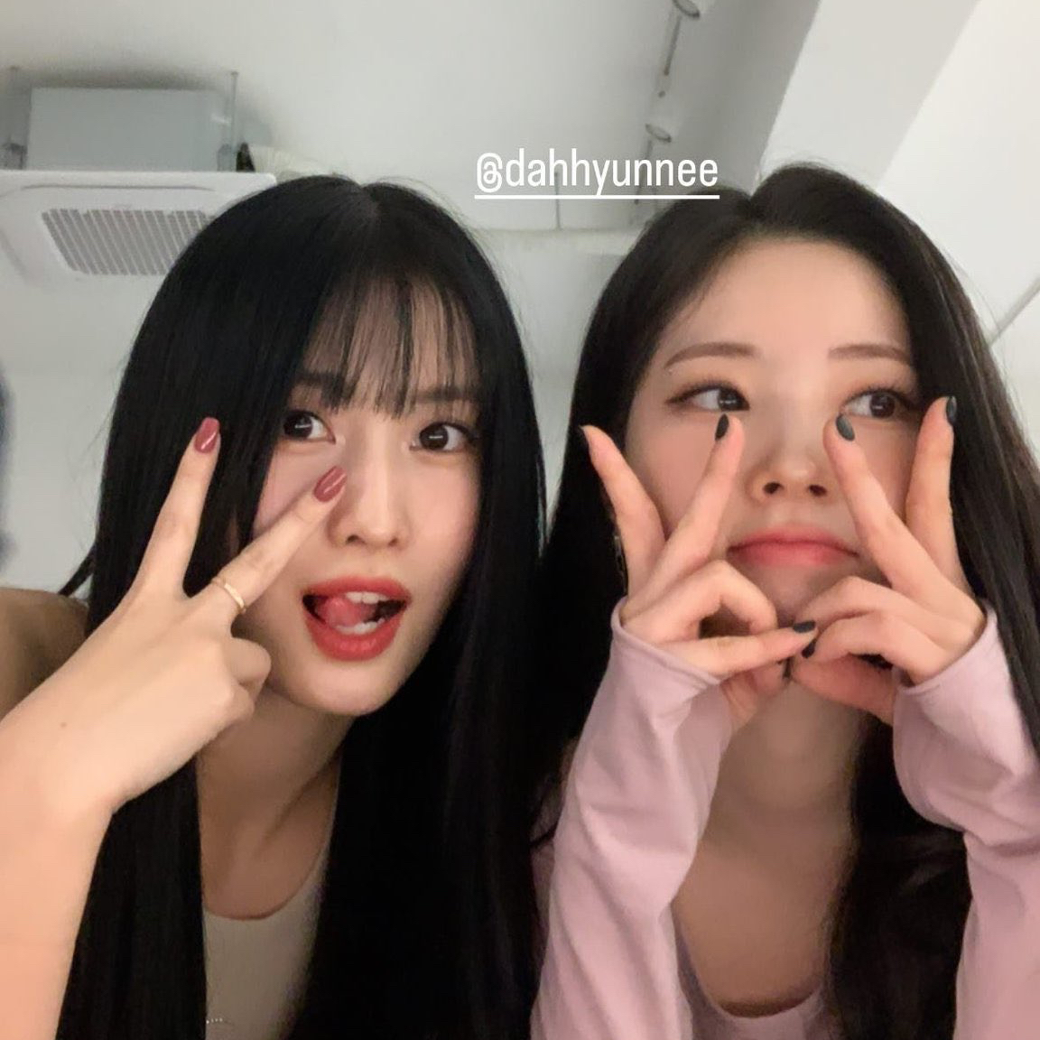 모모 (TWICE) 팬이 찍은 순간