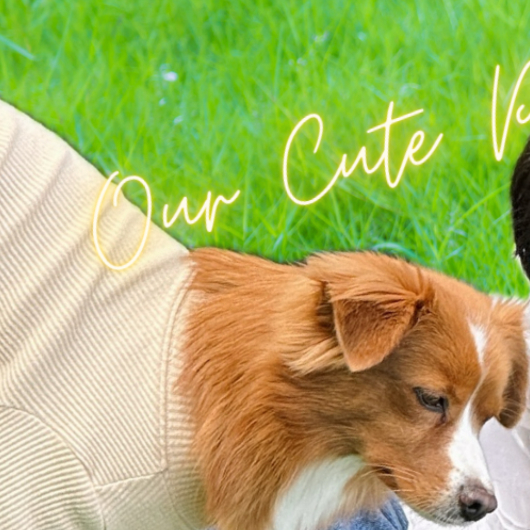 Recent activity shot of Kim Taerae (ZEROBASEONE)