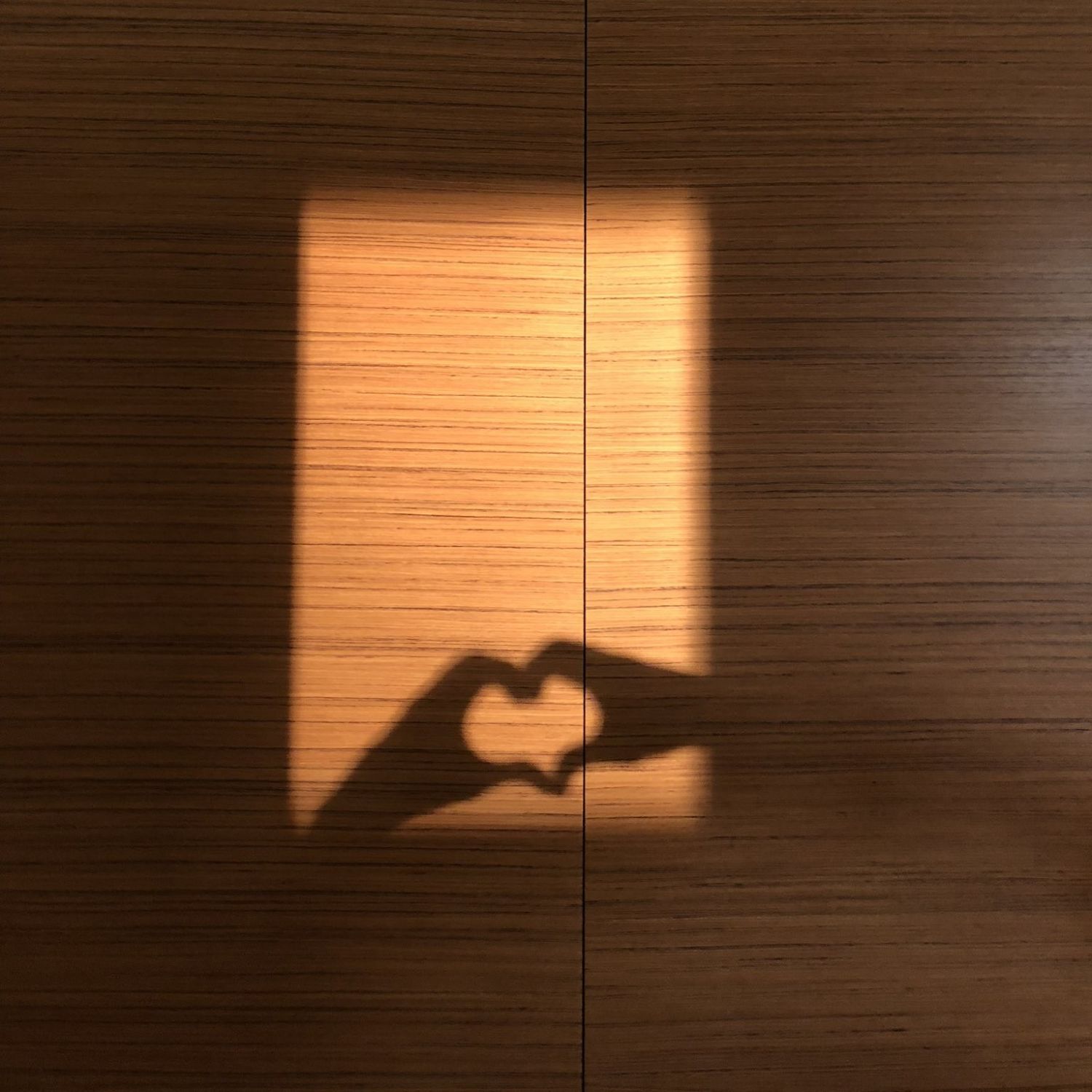 Behind-the-scenes cut of BTS