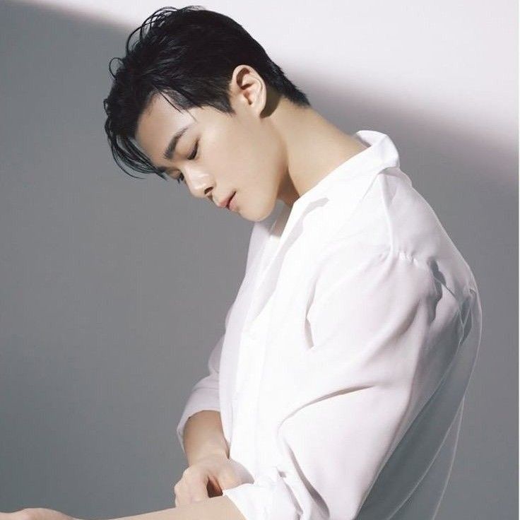 아스트로 팬이 찍은 순간