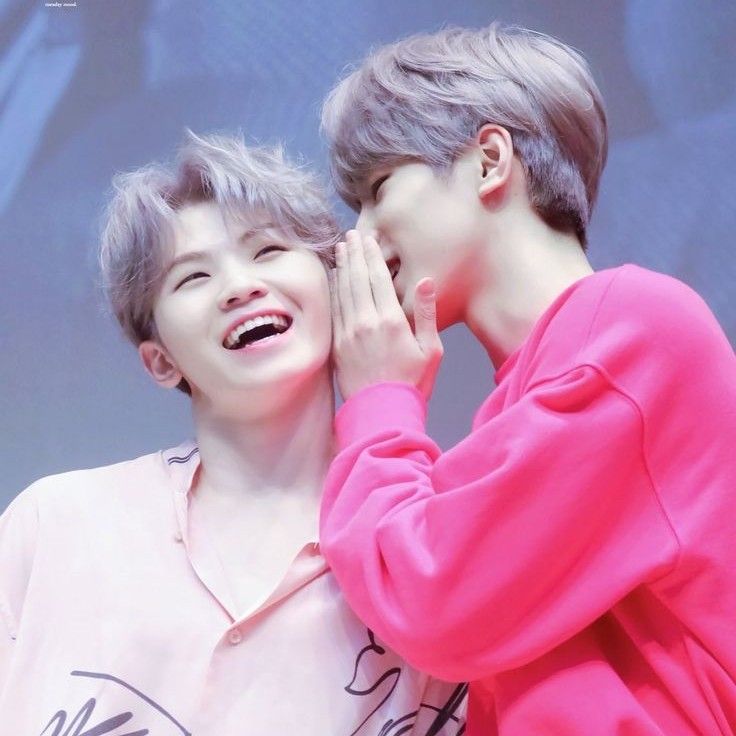 원우 (세븐틴)의 최신 사진