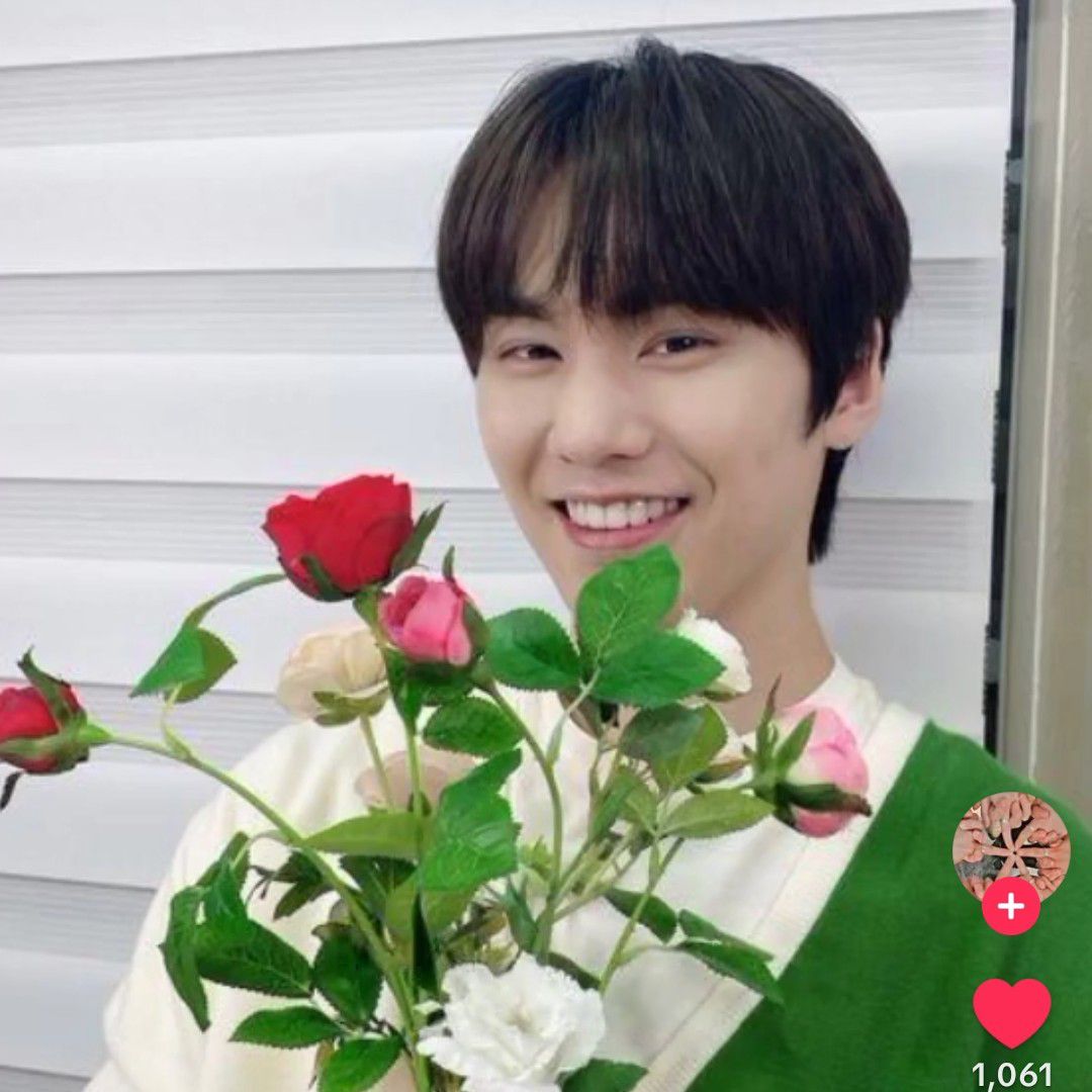 Recent activity shot of Rocky