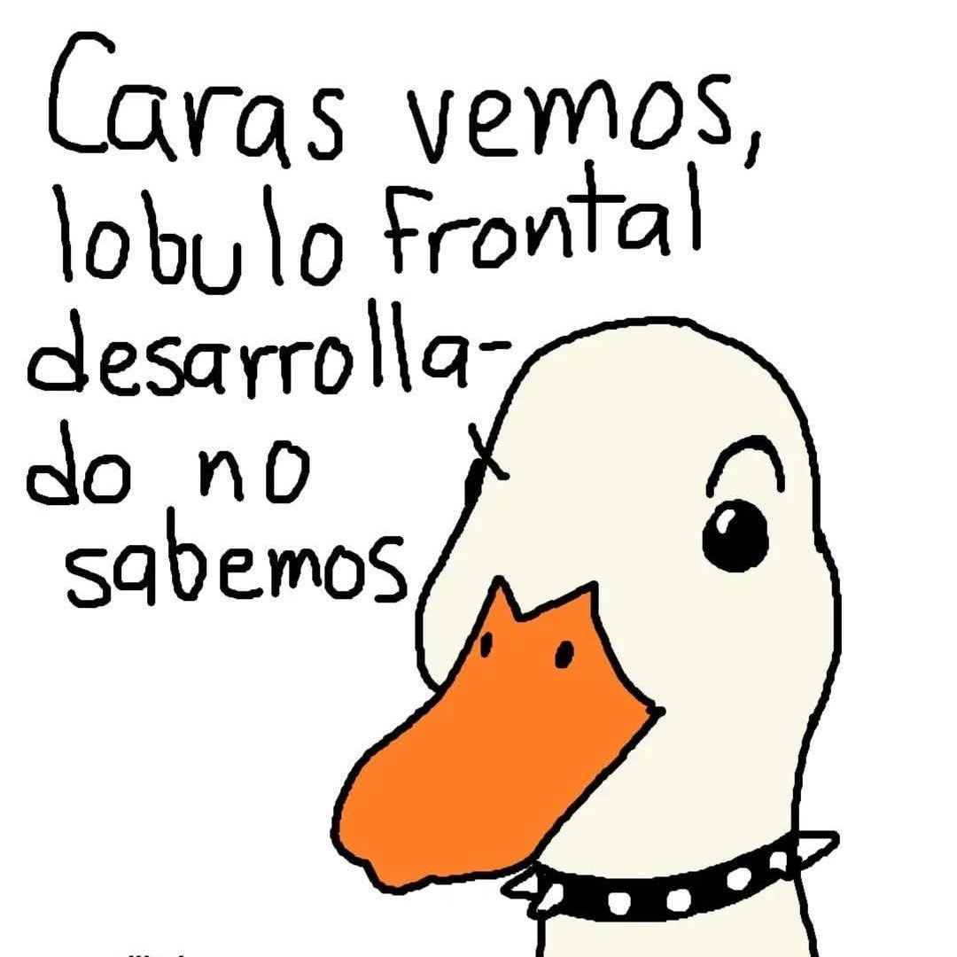 에이티즈 최근 활동샷