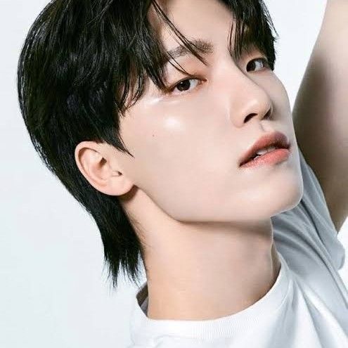 Behind-the-scenes cut of Dino (SEVENTEEN)