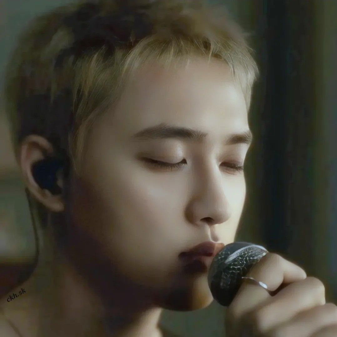 ディオ (EXO)ファンが撮った瞬間
