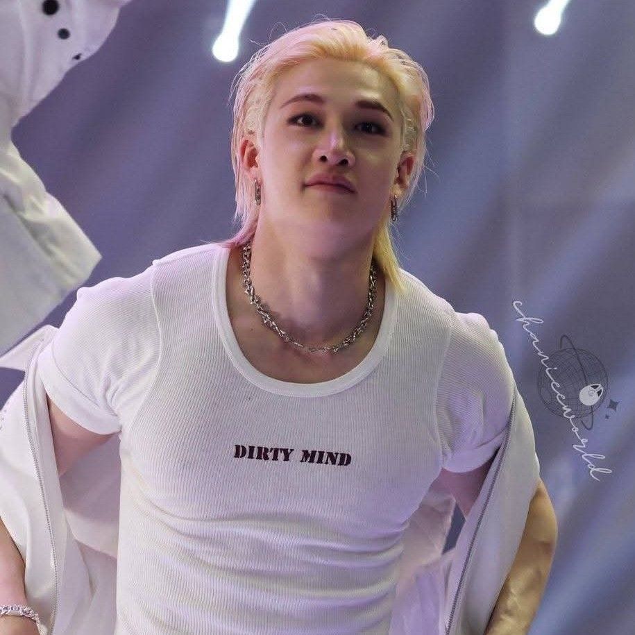 A moment captured by Bang Chan (Stray Kids)'s fan