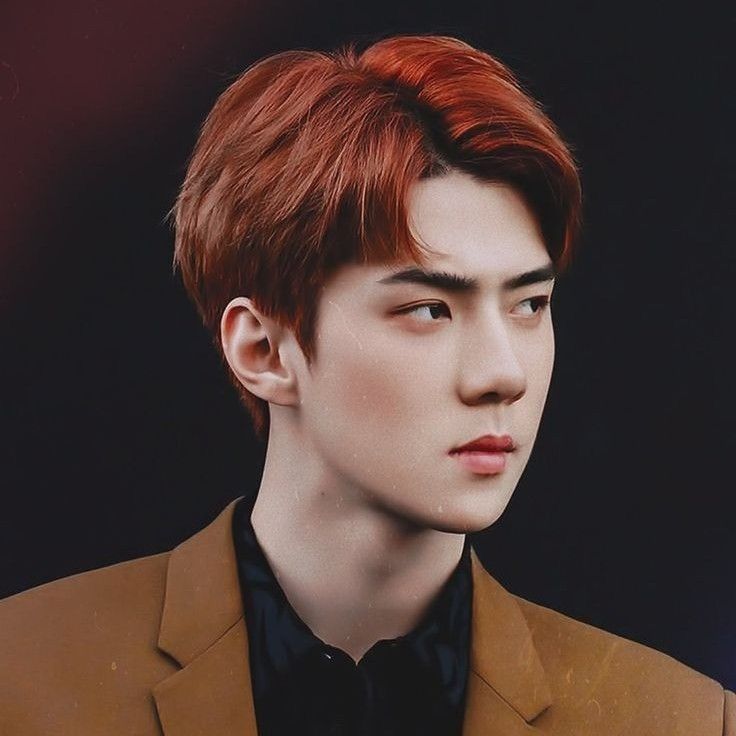 Potret di balik layar Sehun (EXO)