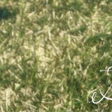 珍率(2001)的幕后花絮