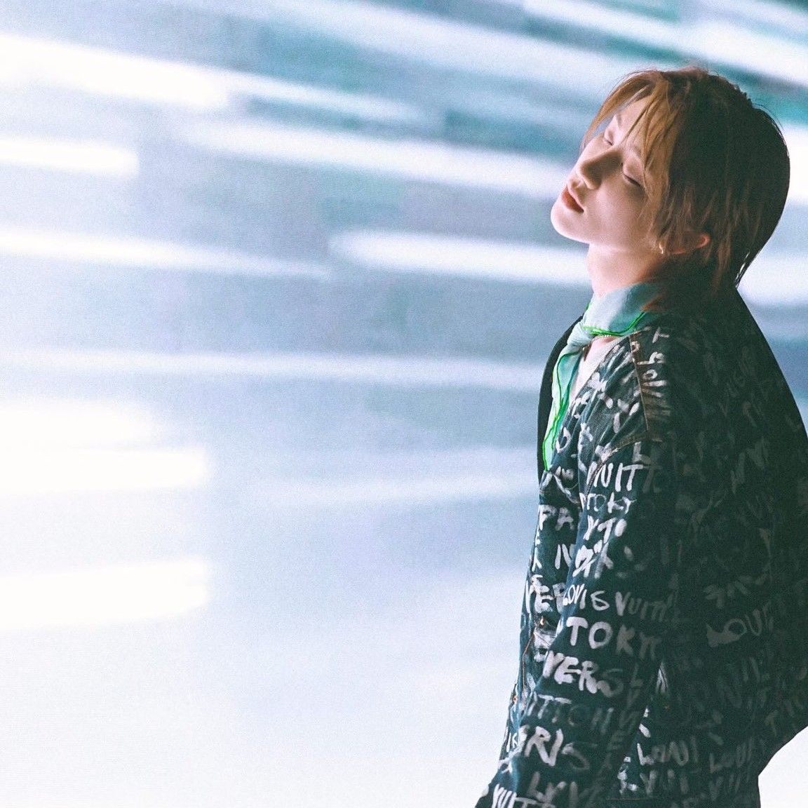 세븐틴 팬이 찍은 순간