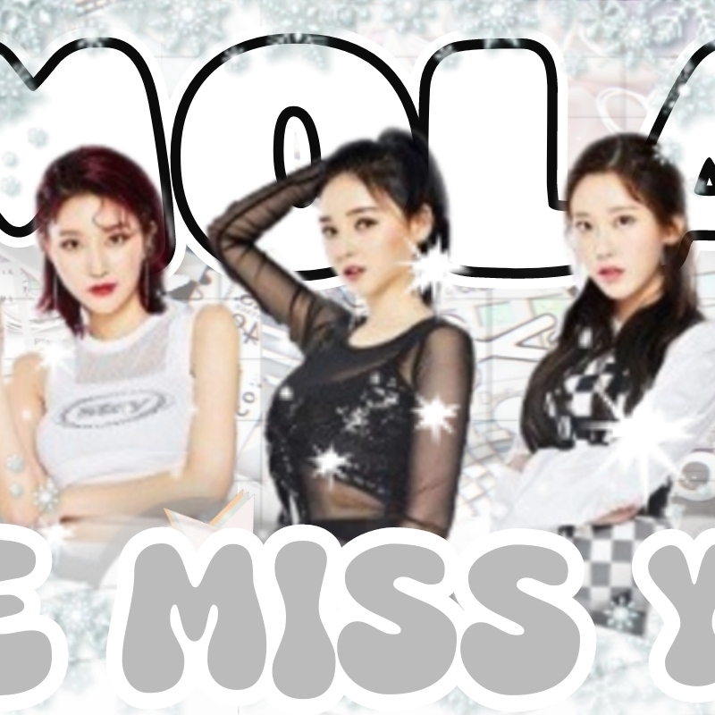 Recent activity shot of MOMOLAND